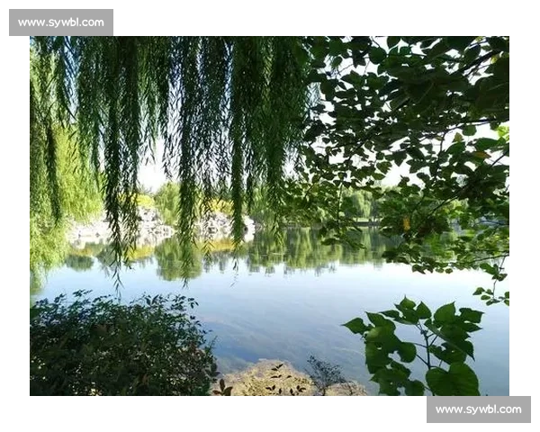 罗森对决大海的极限挑战揭示人与自然的力量碰撞境界思考与生存意义