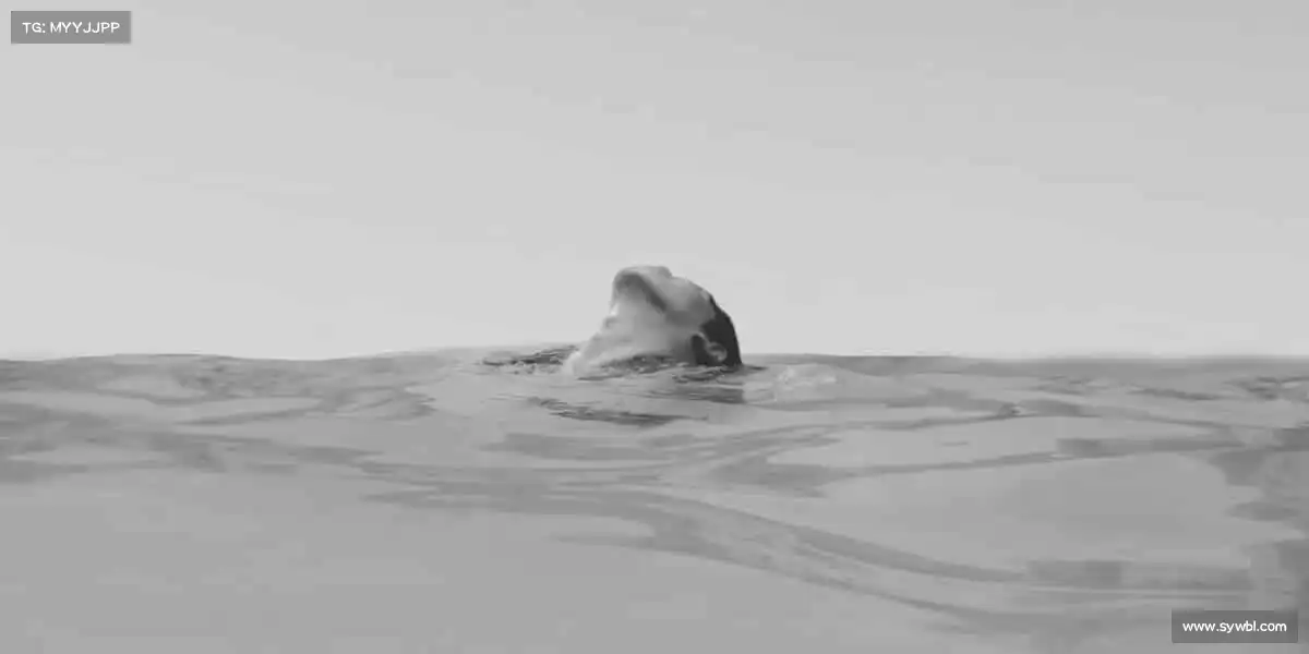 <strong>星空游戏</strong>🏓小球转动大世界，拼搏成就每一刻！